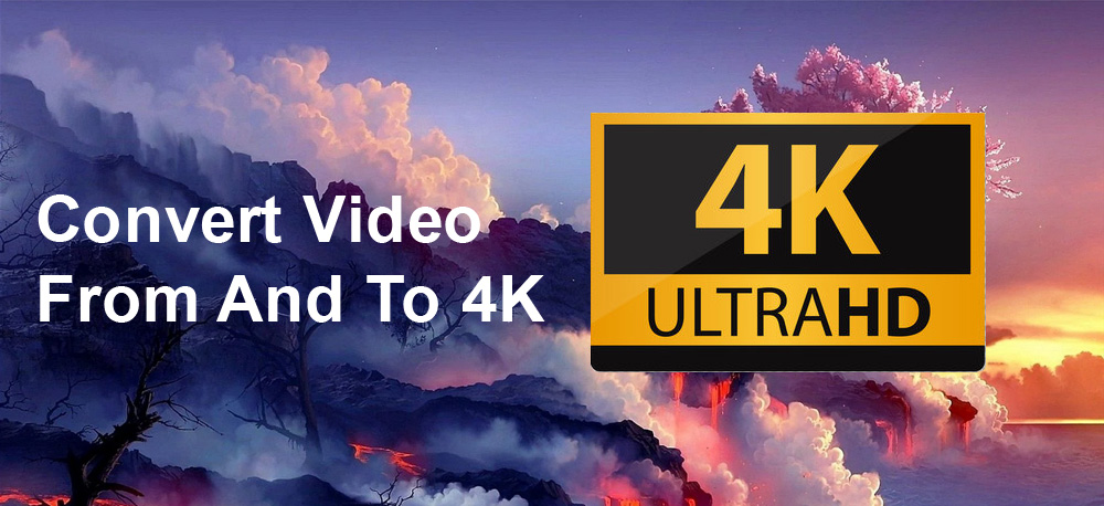Best 4K Video Converter Review - 2022