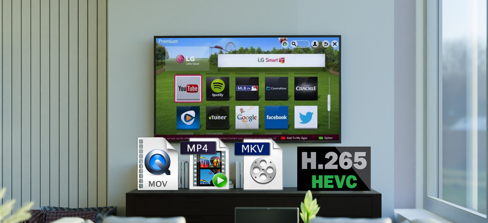 play H.265 MKV and H.265 MP4 on LG TV